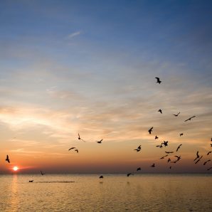 Understanding  Death and Bereavement Day Course