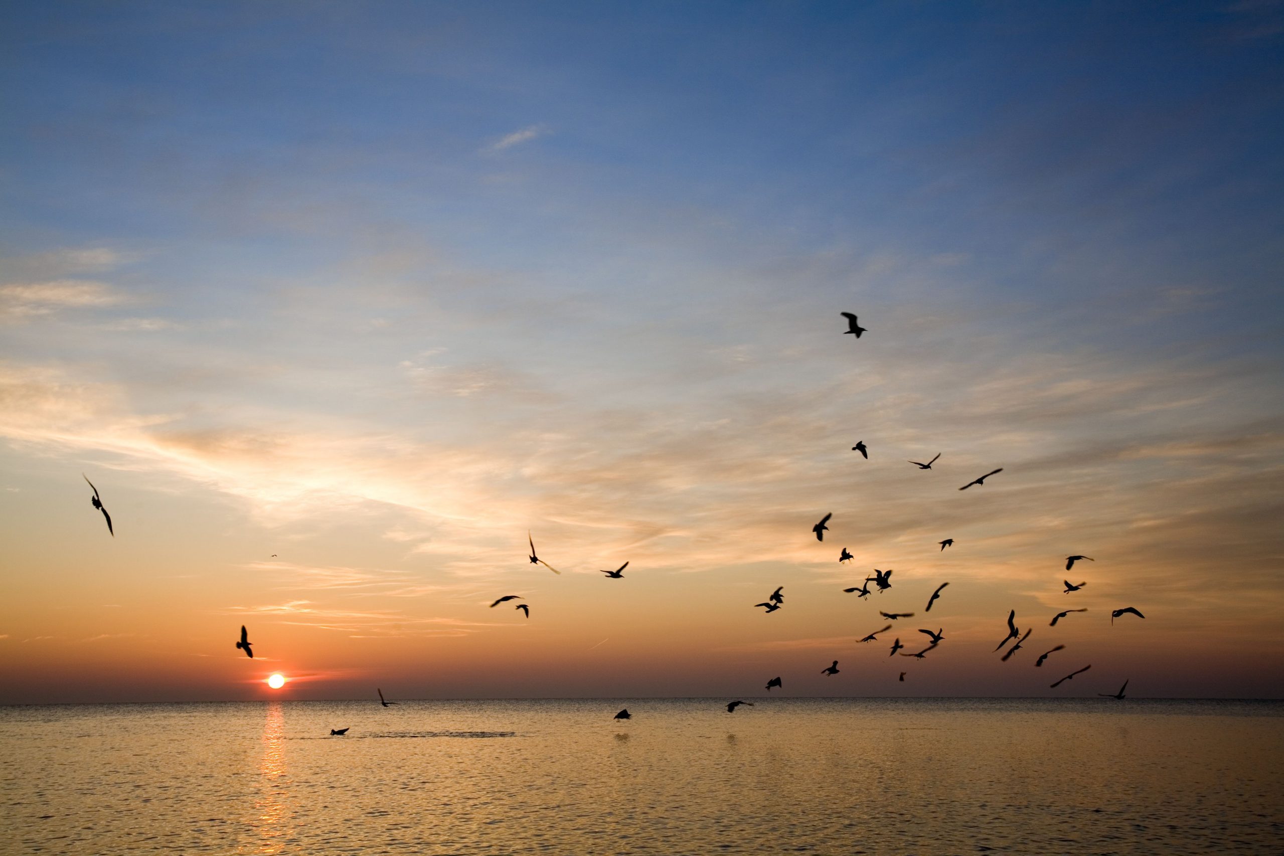 Understanding Death and Bereavement Day Course